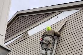 Best Siding Maintenance  in Winnebago, IL